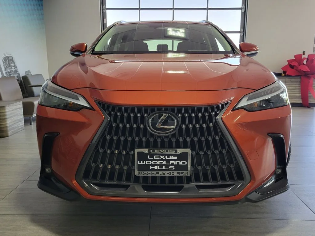 2024 Lexus NX 350 - Photo 9