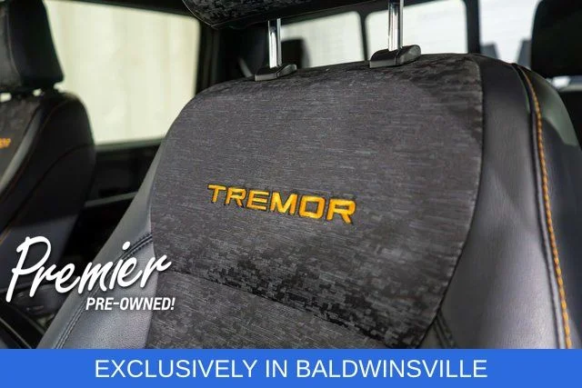 Used 2025 Gray Ford Tremor image 19