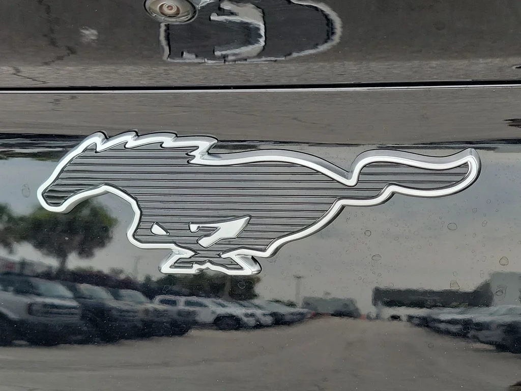 New 2026 Shadow Black Ford Premium image 6