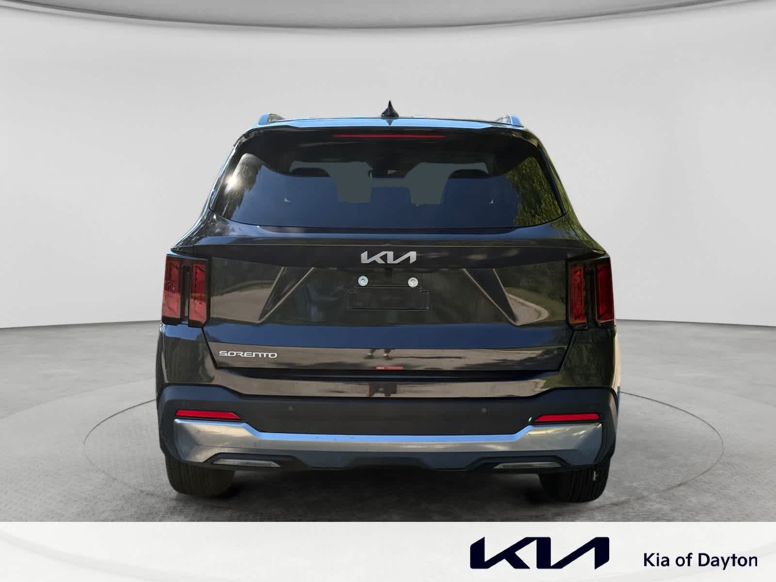 New 2026 Panthera Metal Kia S image 6