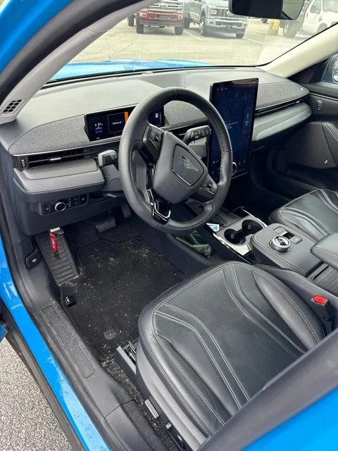 Used 2024 Grabber Blue Ford Premium image 7