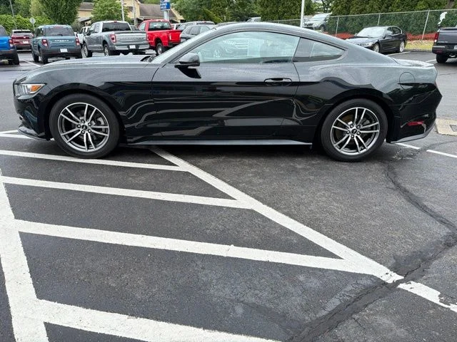 Used 2017 Black Ford EcoBoost Premium image 4