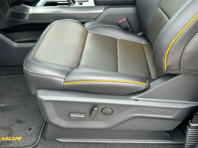 New 2026 Gray Ford Tremor image 14