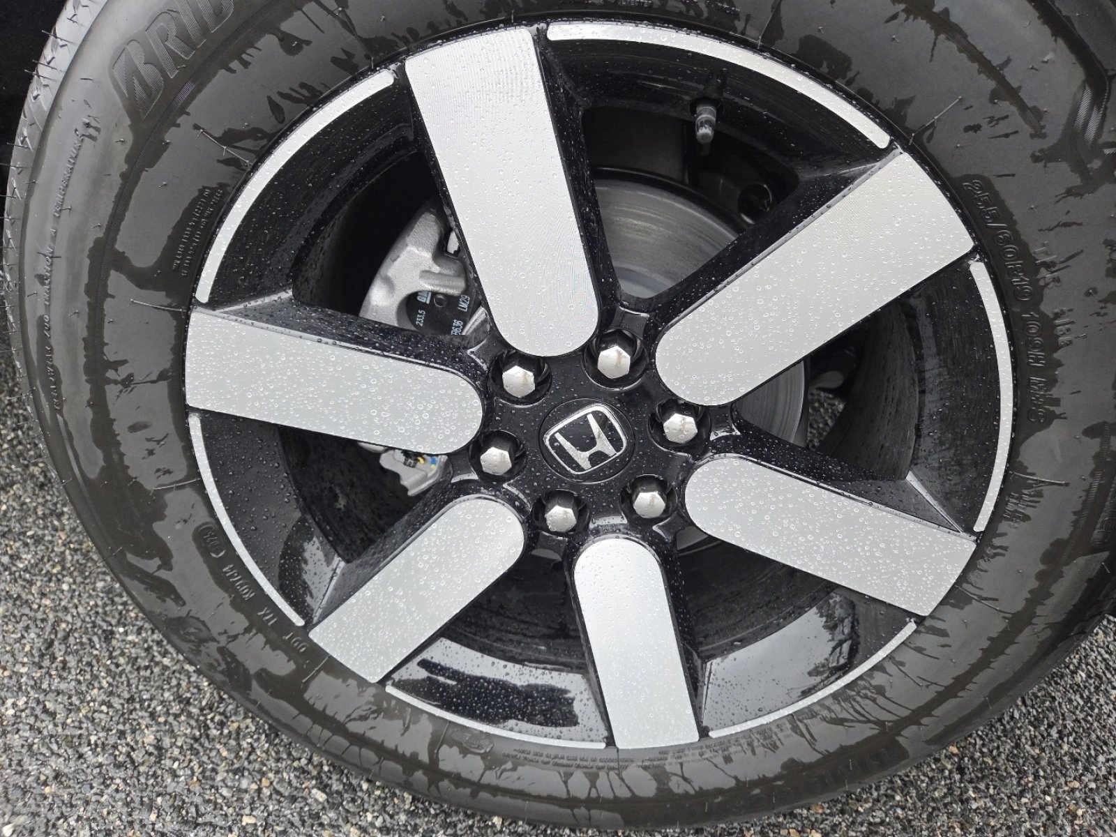 2026 Honda Prologue Touring - Photo 15