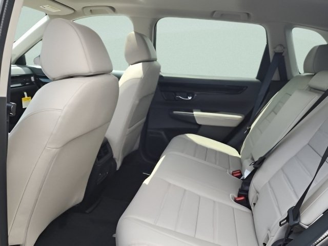 New 2026 Platinum White Pearl Honda EX-L image 19