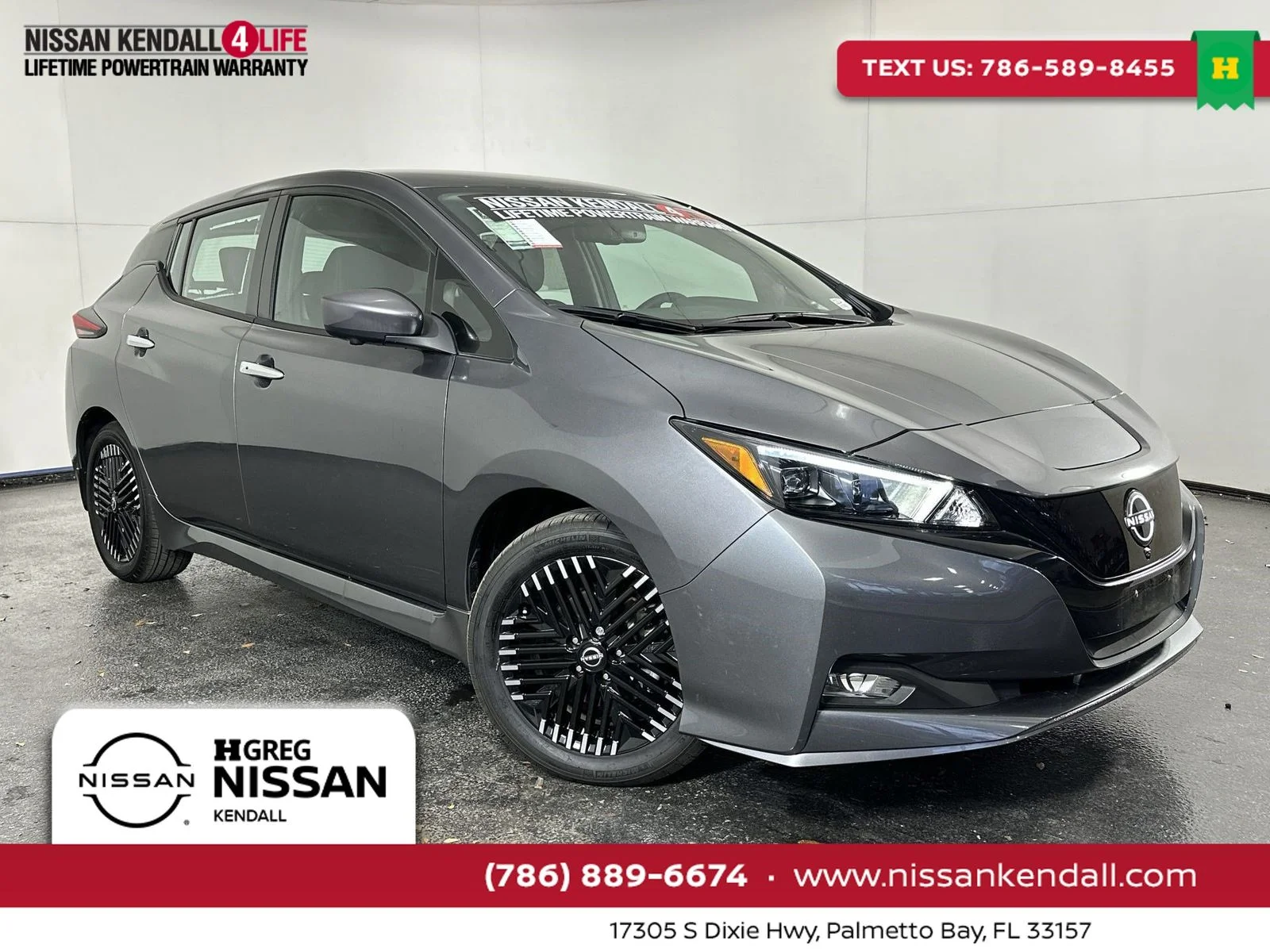 2025 Nissan Leaf SV PLUS's photo