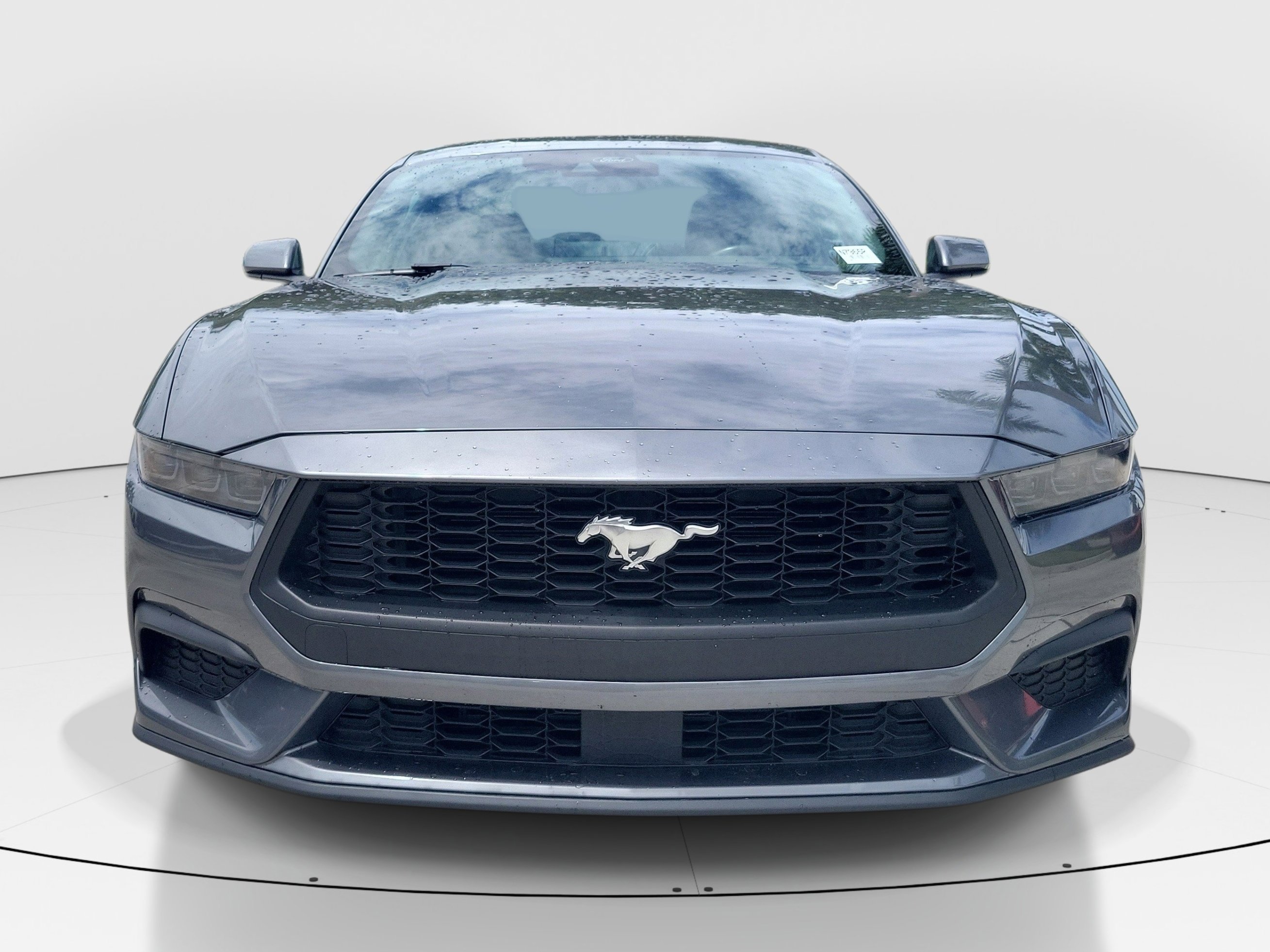 Used 2025 Gray Metallic Ford EcoBoost Premium image 3