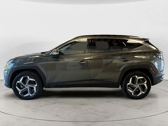 Used 2024 Gray Hyundai Limited image 2