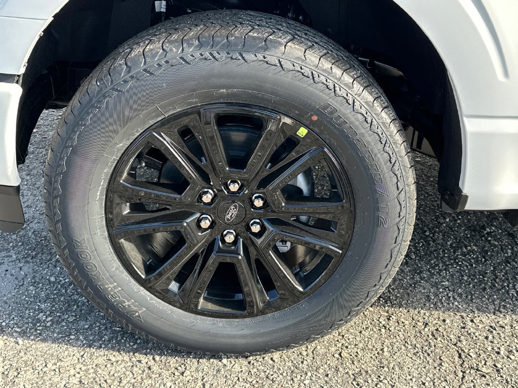 New 2025 White Ford Platinum image 11