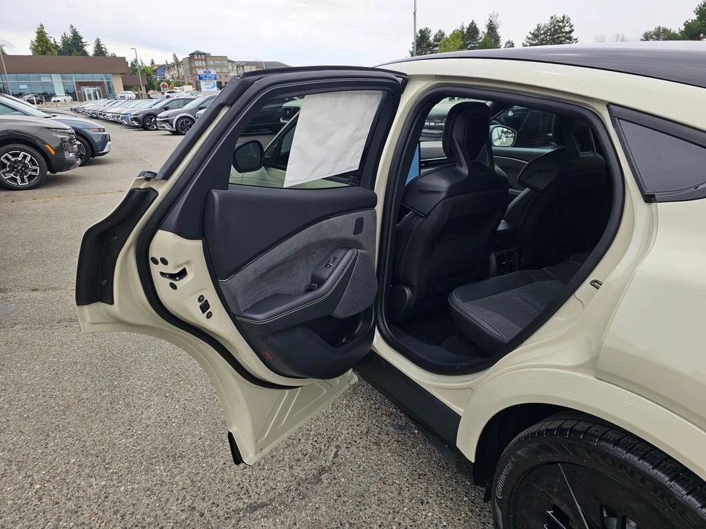New 2025 Desert Sand Ford GT image 15