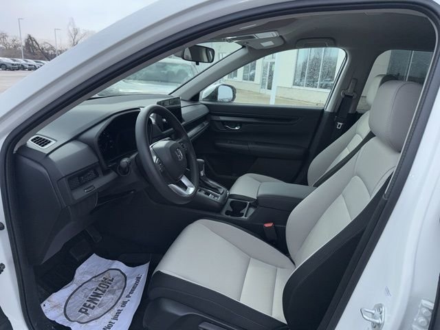 New 2026 Platinum White Pearl Honda LX image 8