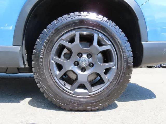 Photo 10
