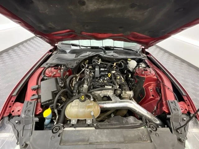 Used 2019 Red Ford EcoBoost image 24