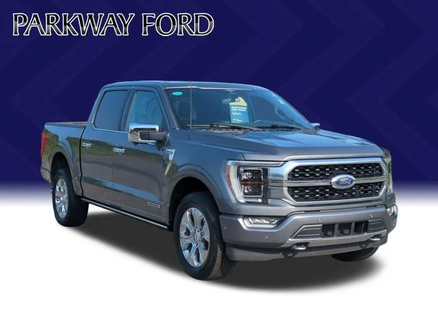 Used 2023 Gray Ford Platinum image 7