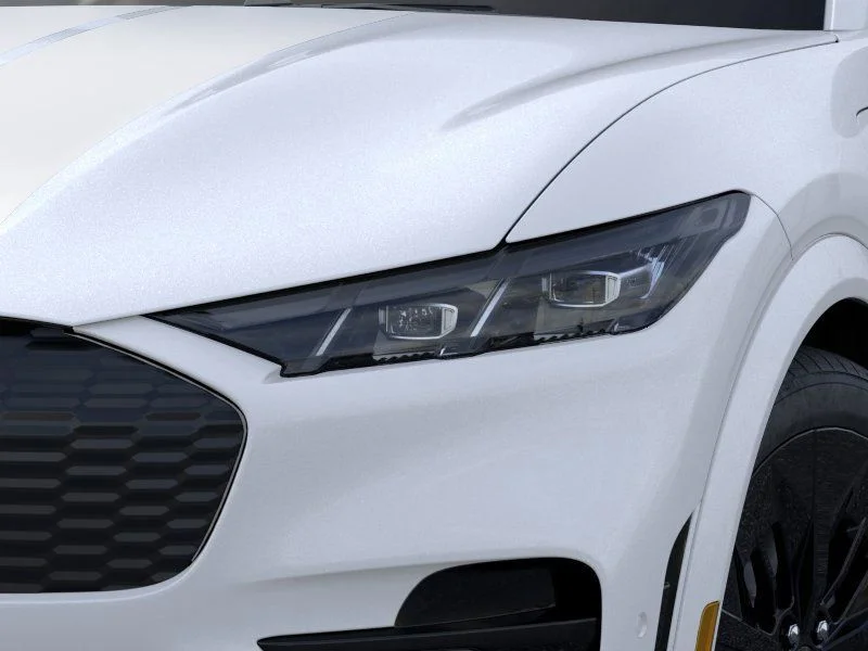 2025 Ford Mustang Mach-E GT - Photo 18