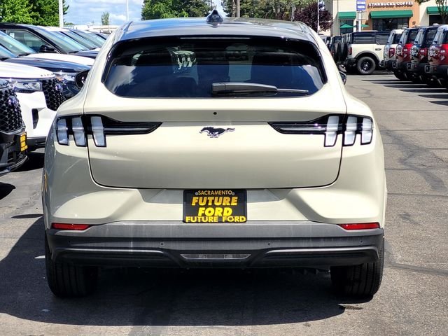 New 2026 Beige Ford Premium image 5