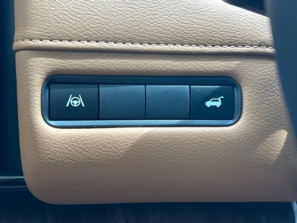 Used 2025 Black Nissan SL image 31