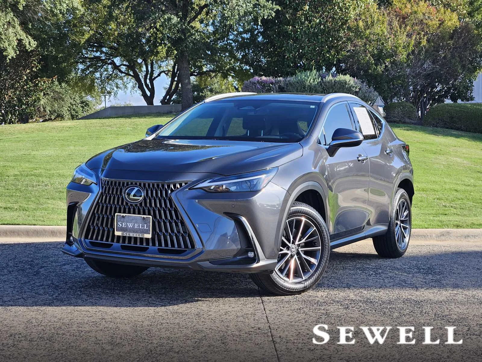 2025 Lexus NX
