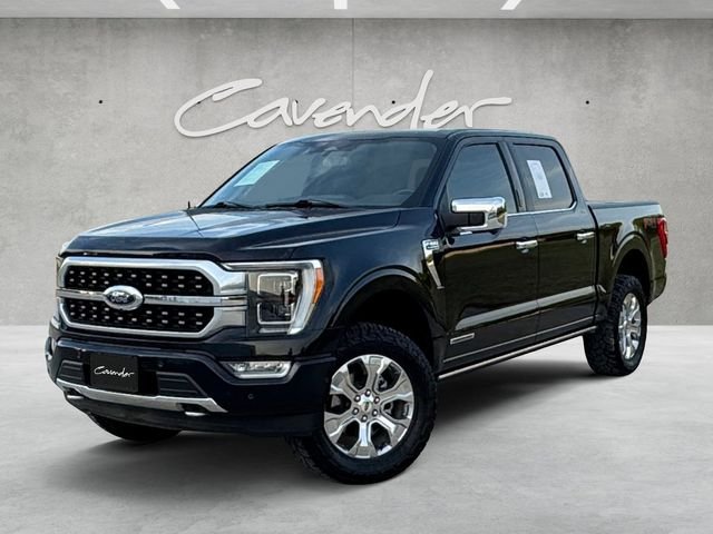 2023 Ford F-150 Platinum 4x4 SuperCrew 5-1/2 Box's photo