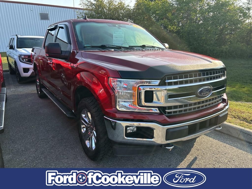 Used 2019 Ruby Red Metallic Ford XLT image 2