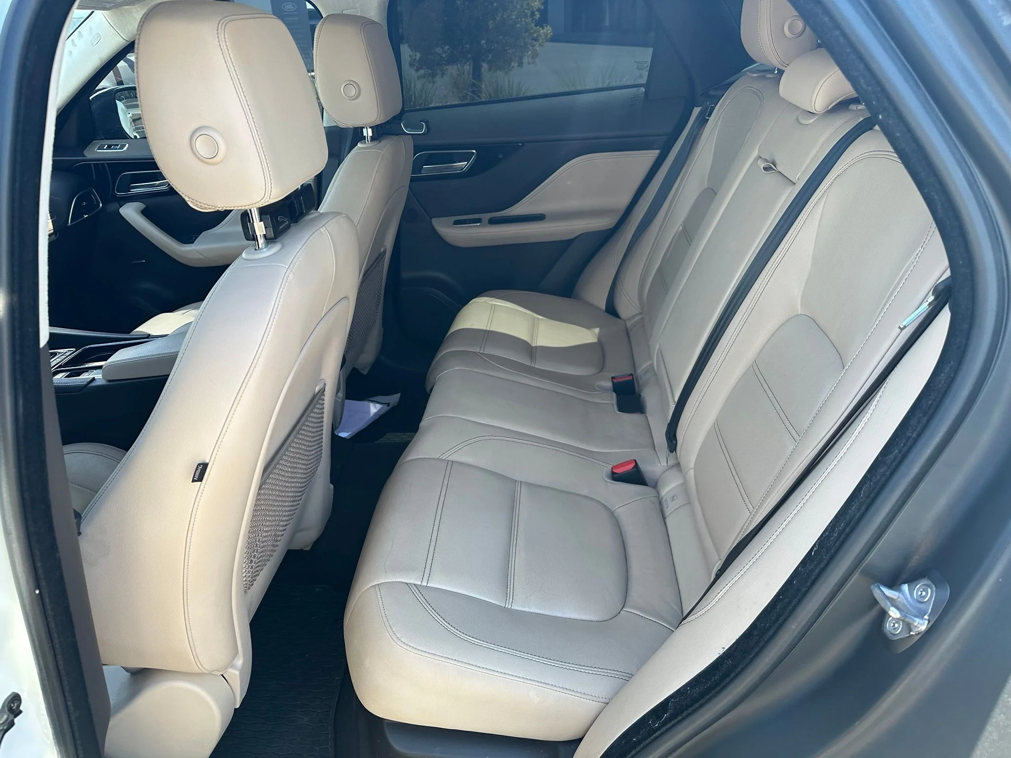 Used 2019 Fuji White Jaguar 25t Prestige image 6