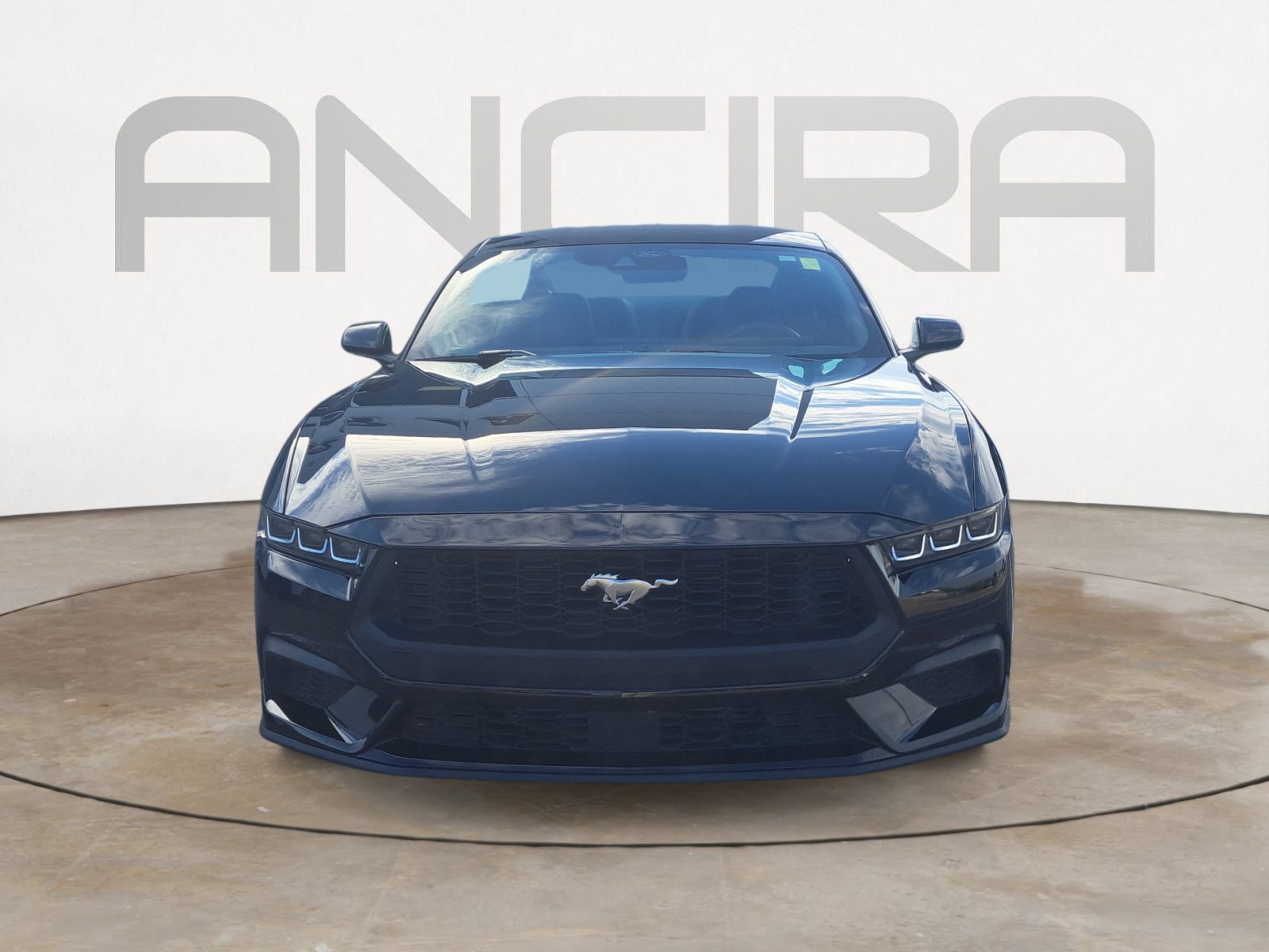 Used 2024 Shadow Black Ford EcoBoost image 4