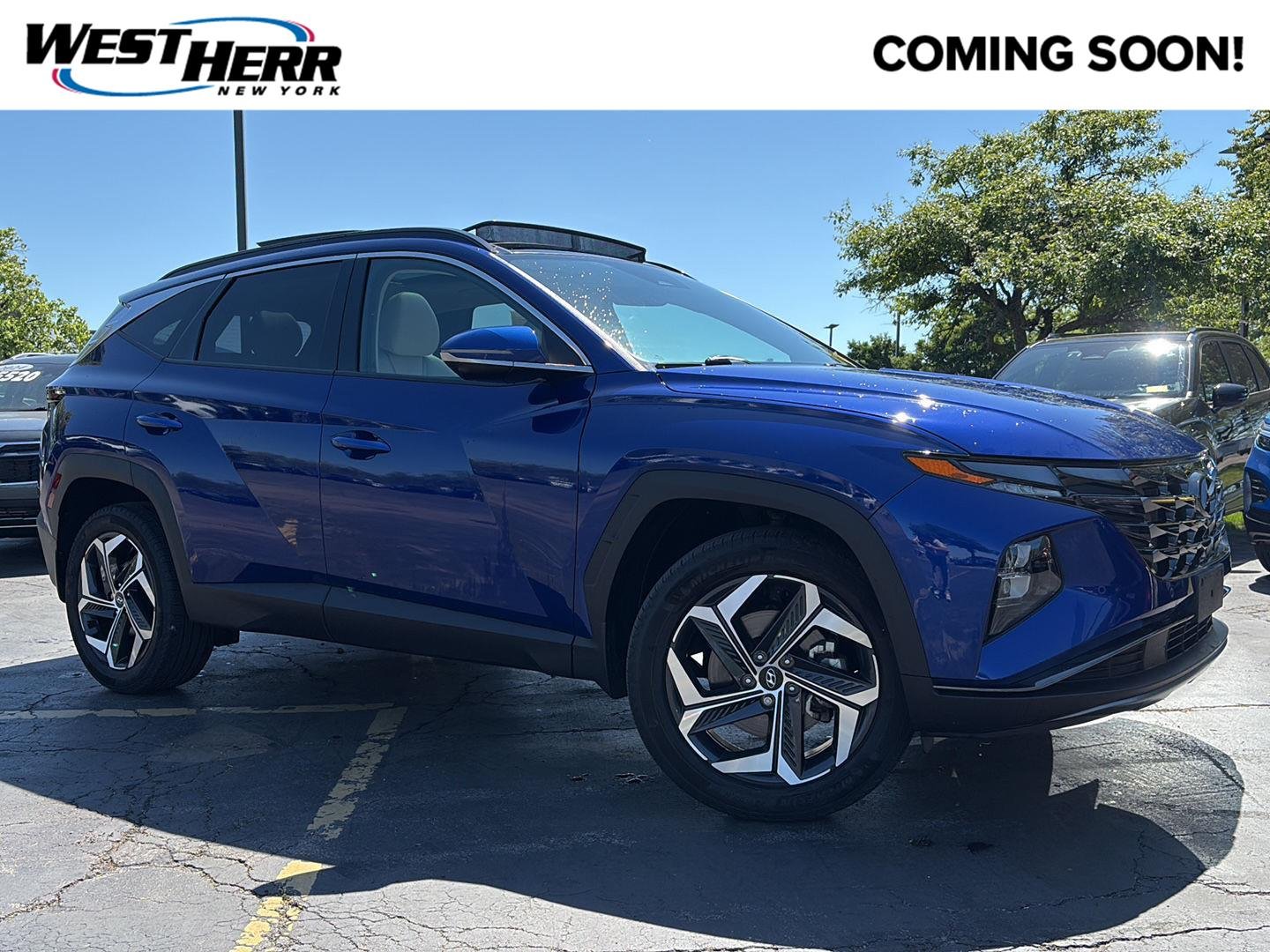 Used 2023 Intense Blue Hyundai Limited image 1
