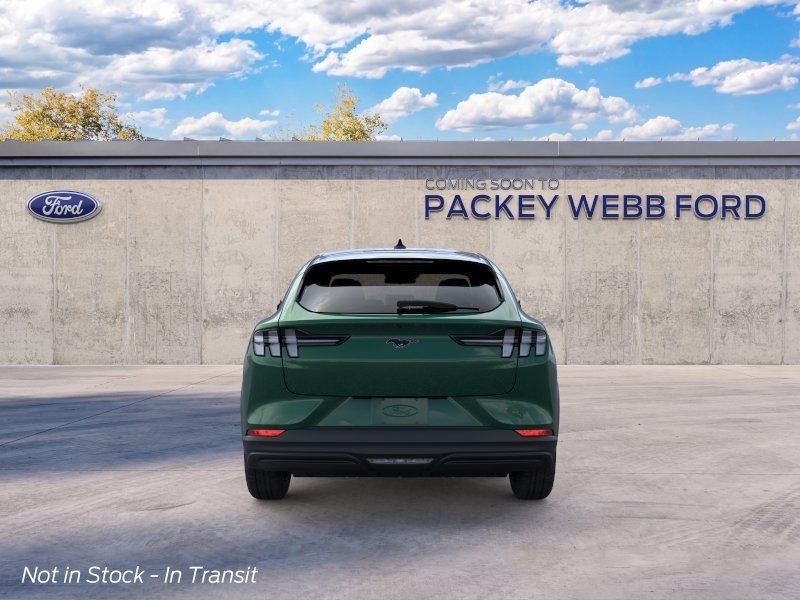 New 2026 Eruption Green Metallic Ford Premium image 6