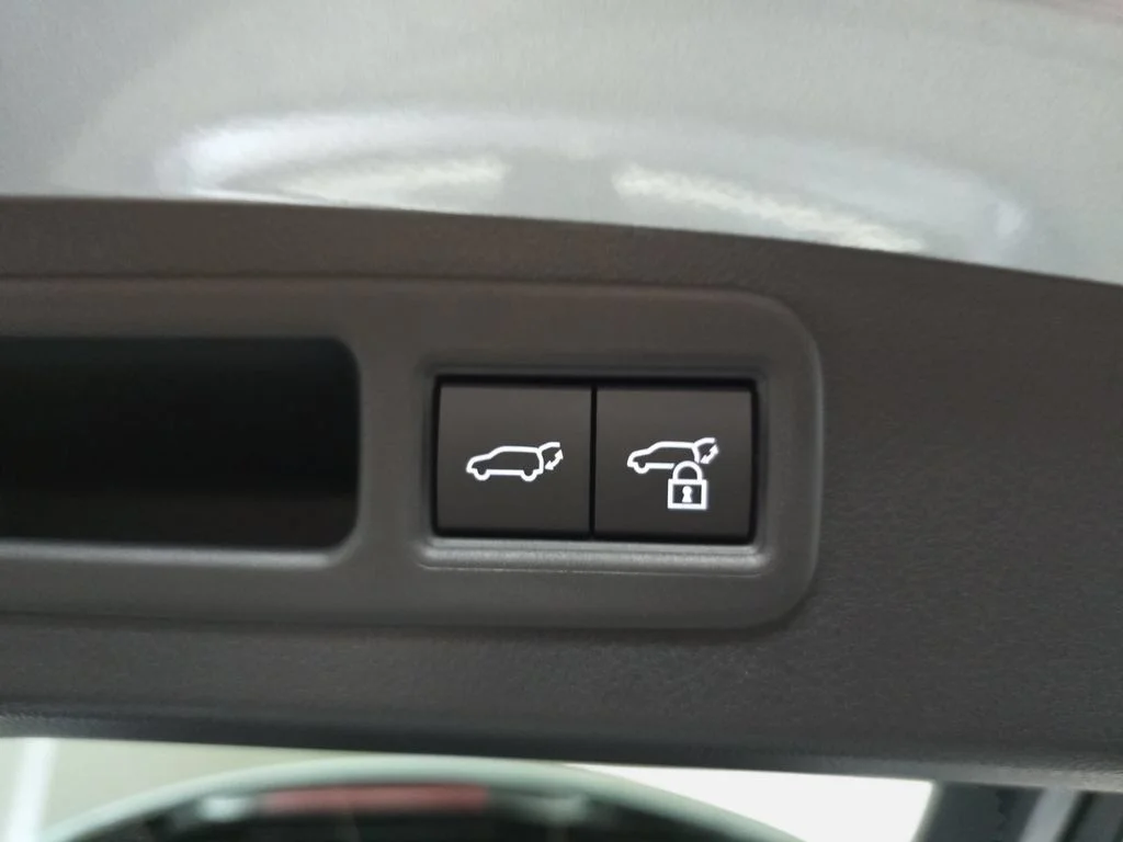 New 2026 Iridium Lexus PREMIUM image 13