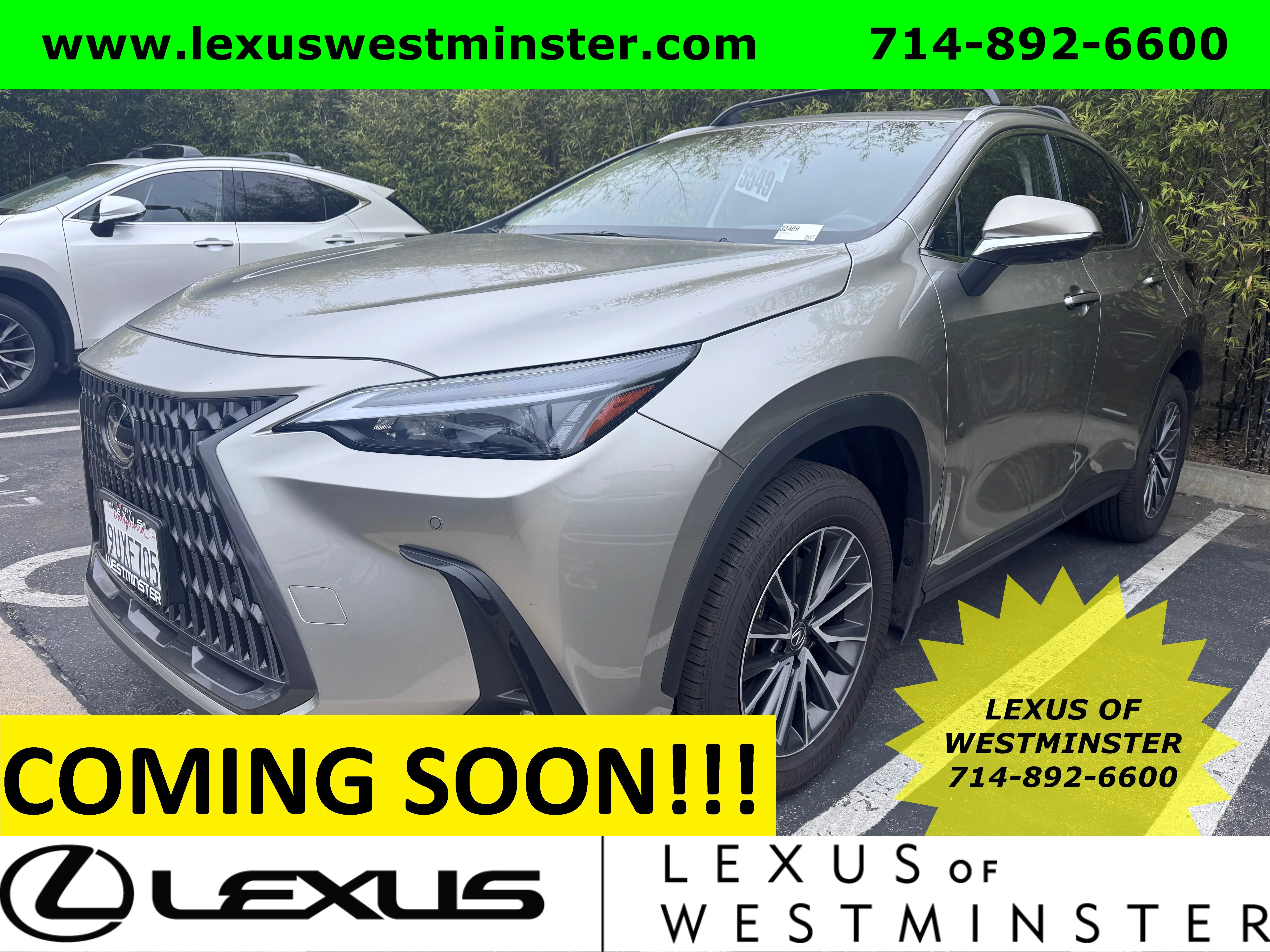 2025 Lexus NX 350h 350h Premium AWD's photo