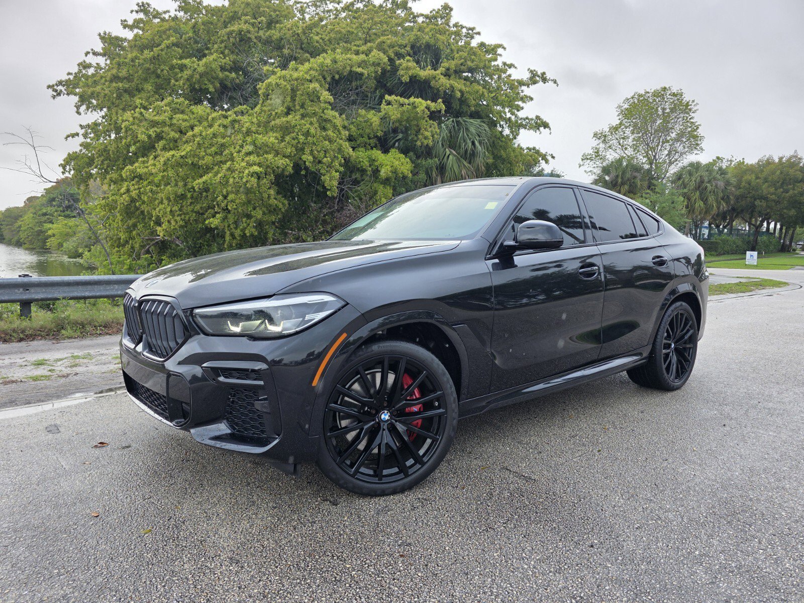 2023 BMW X6 M50i's photo