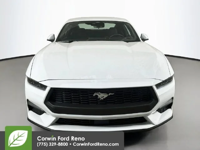 New 2026 Oxford White Ford EcoBoost image 2
