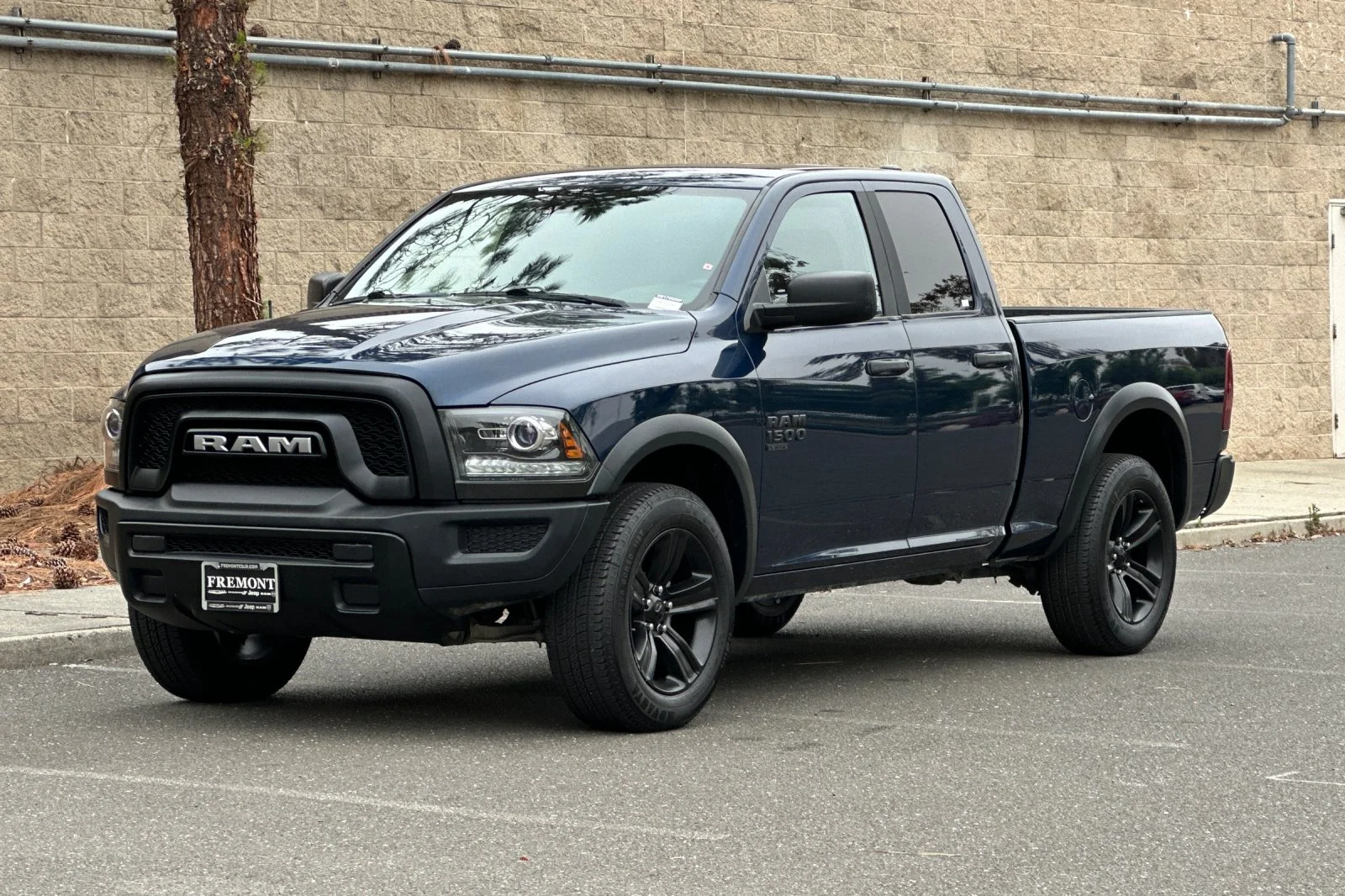 Used 2022 Blue Ram Warlock image 7