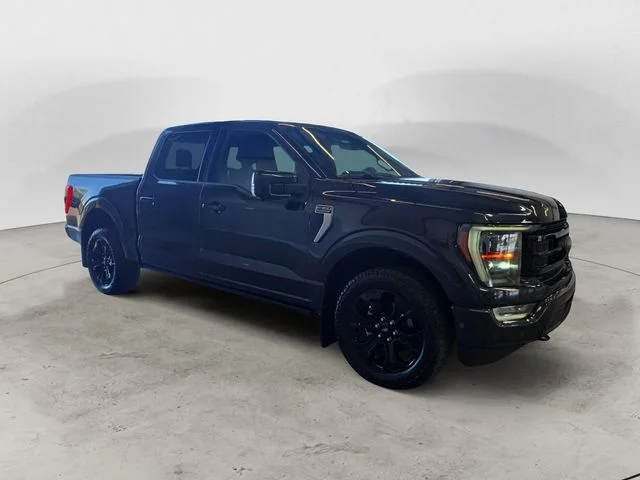 Certified Used 2022 Quartz Ford Platinum image 3
