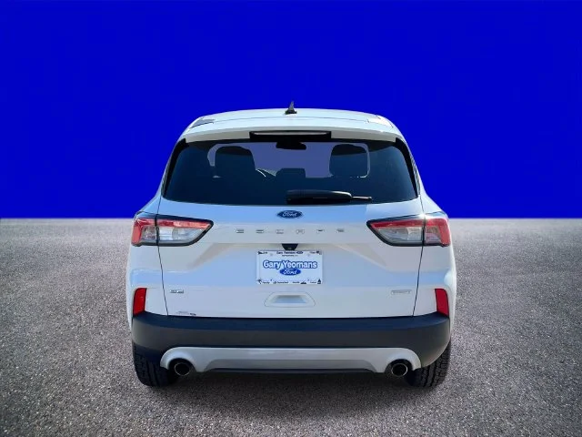 Certified Used 2020 Oxford White Ford SE image 4