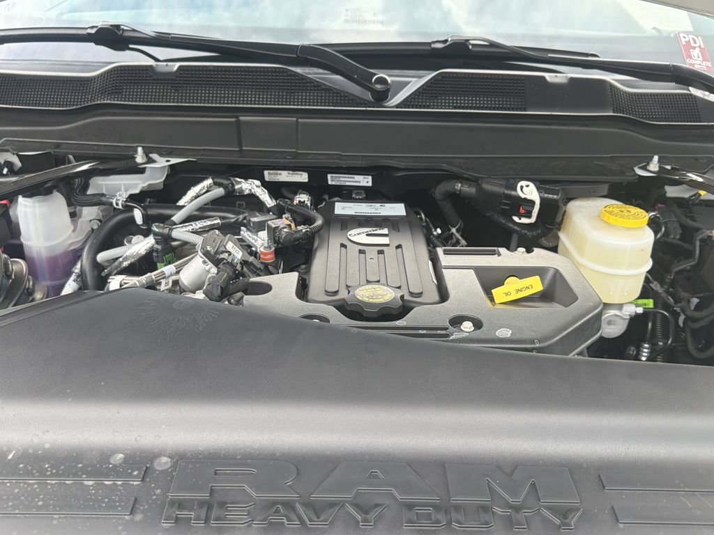 New 2026 White Ram Big Horn image 22