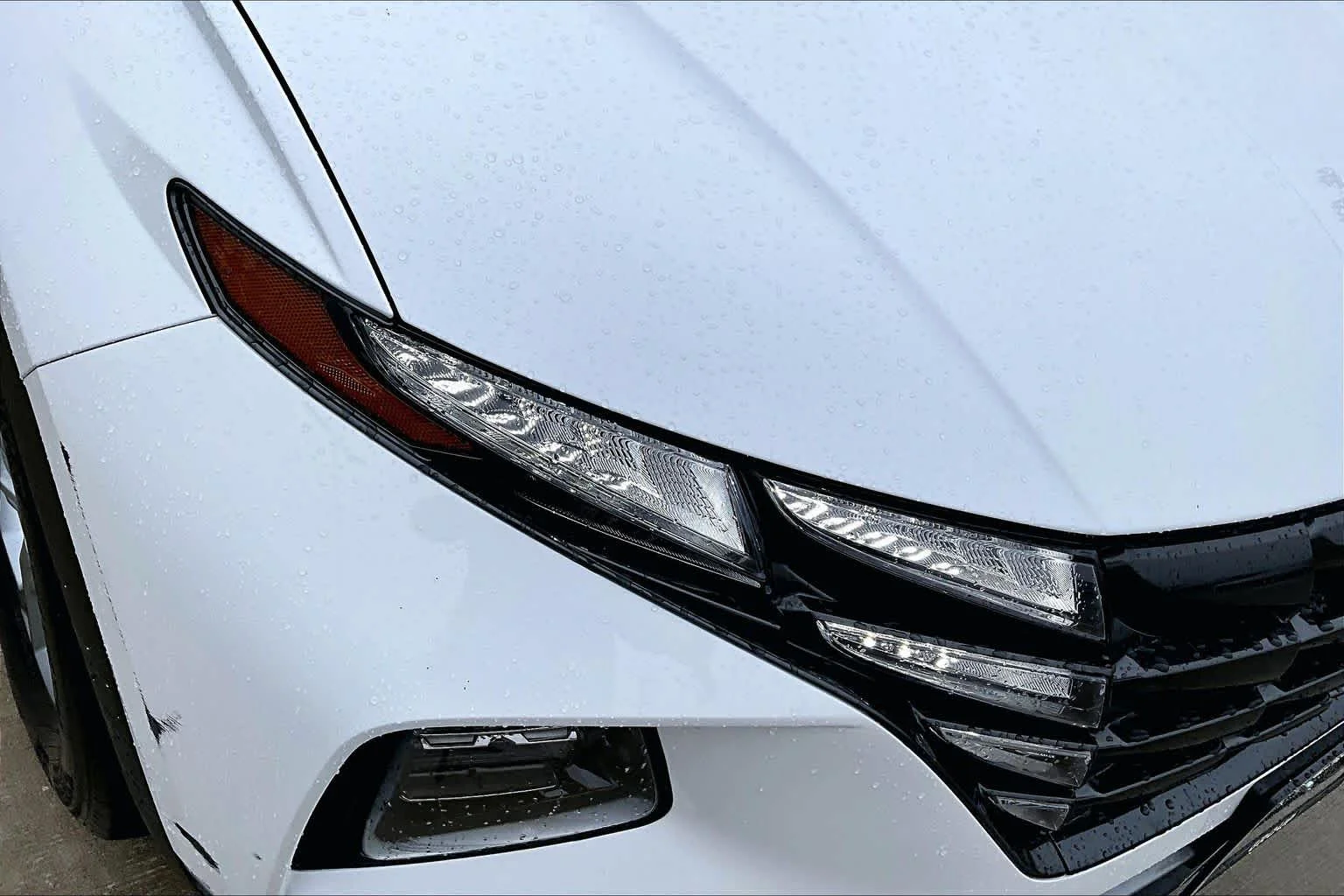 Used 2023 Serenity White Pearl Hyundai SEL image 27