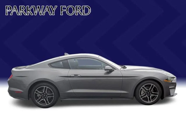 Used 2022 Gray Ford EcoBoost image 4