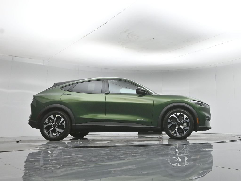 New 2026 Eruption Green Metallic Ford Select image 45