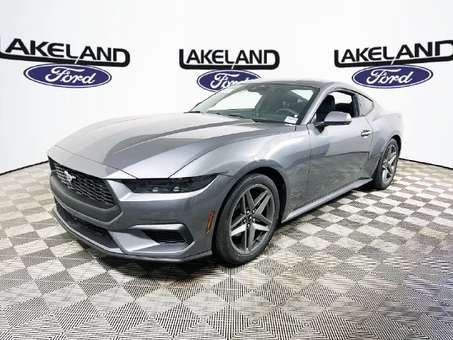 New 2026 Gray Ford EcoBoost image 7