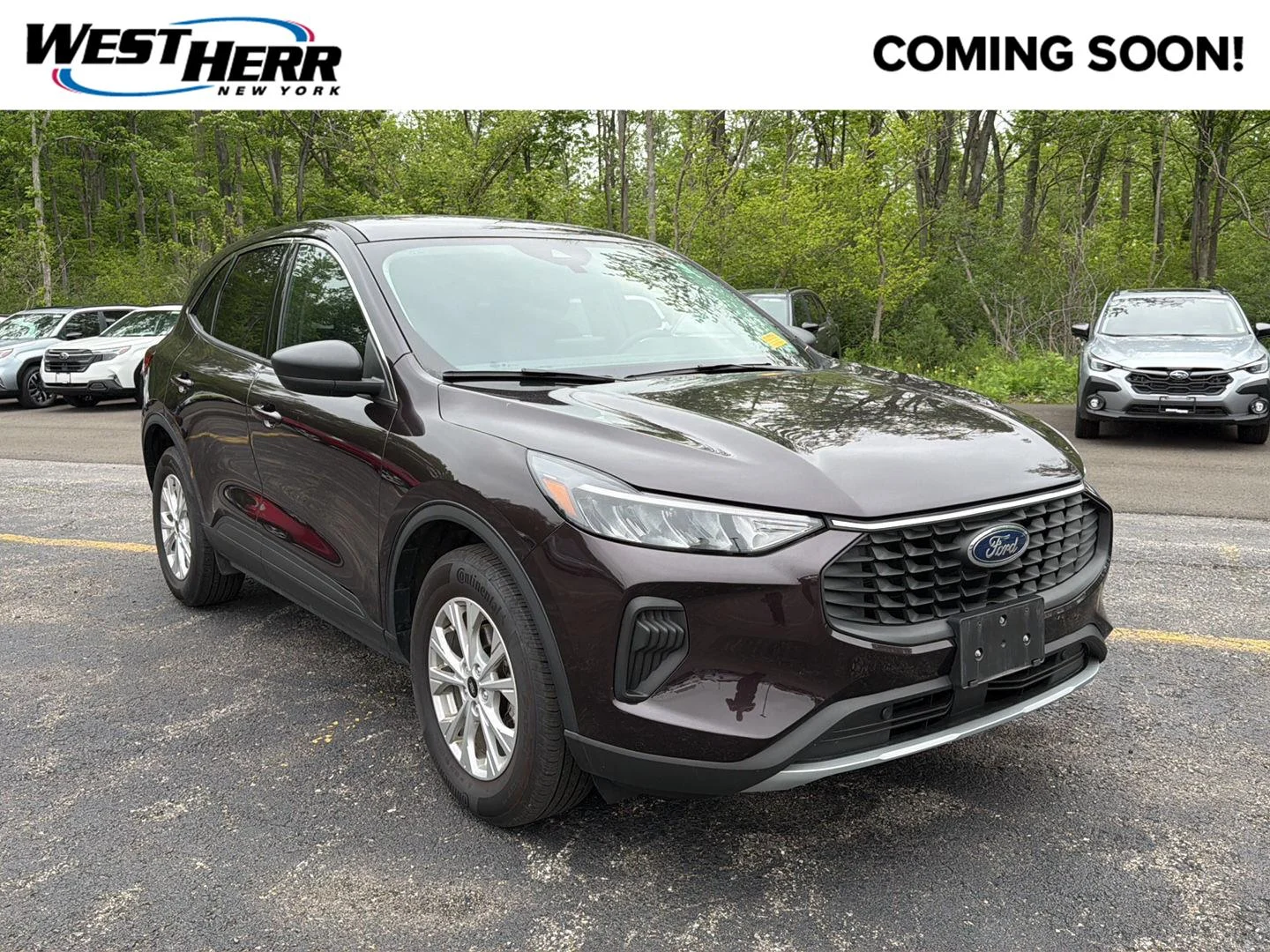 Used 2023 Cinnabar Red Ford Active image 1