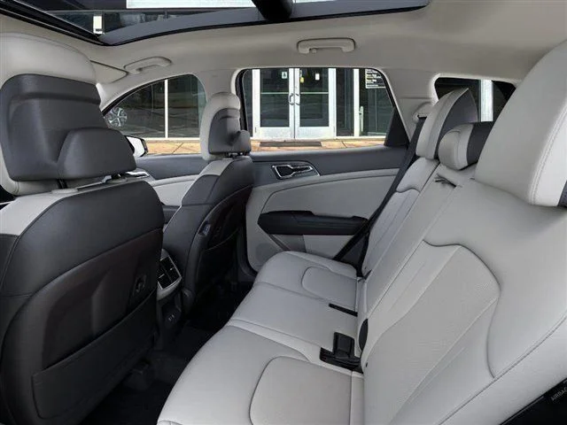 New 2026 Panthera Metal Gray Kia EX image 18