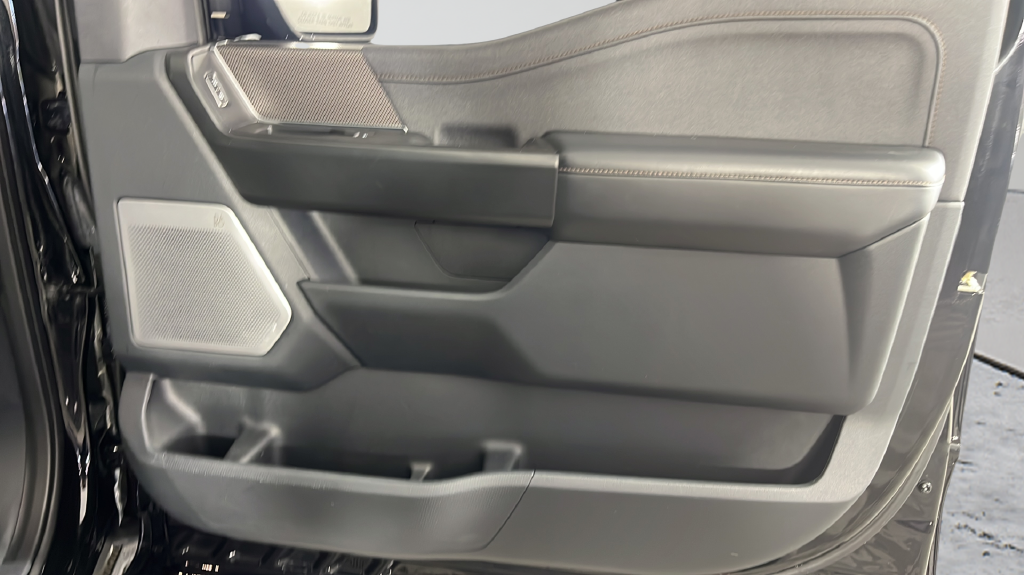 2021 Ford F-150 Raptor - Photo 19
