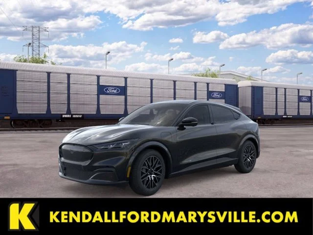 New 2026 Shadow Black Ford Premium image 1