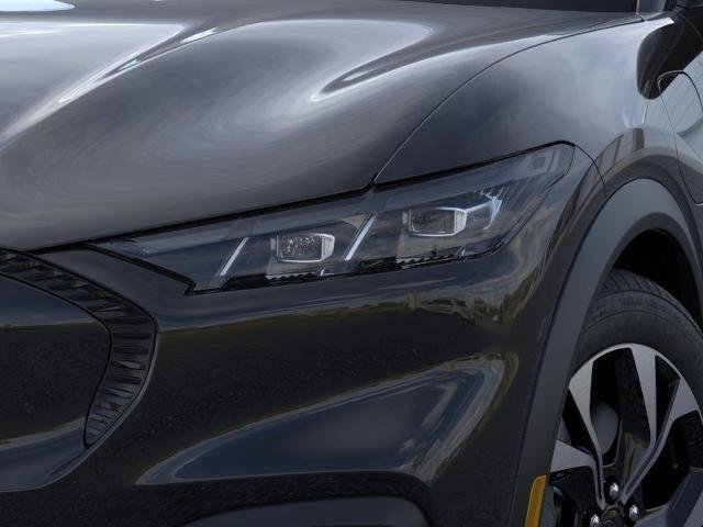 New 2026 Shadow Black Ford Select image 40