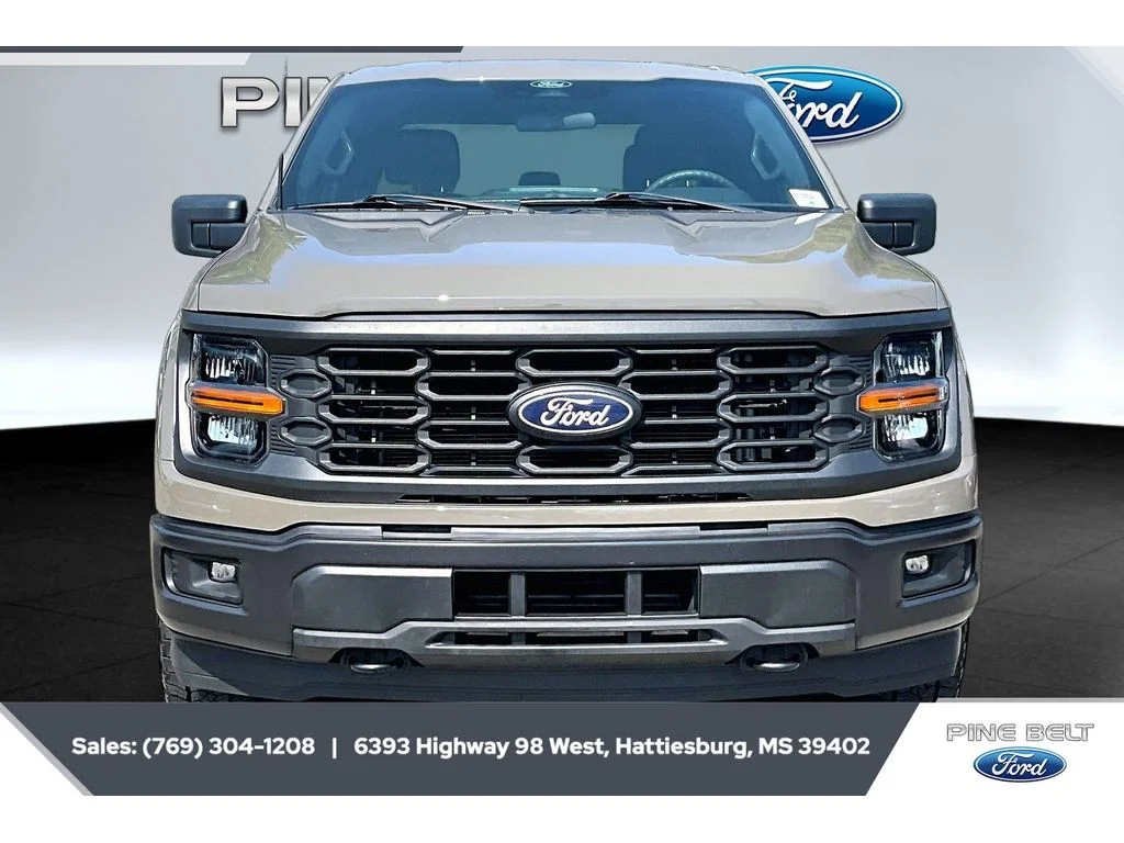 Used 2025 Marsh Gray Ford STX image 3