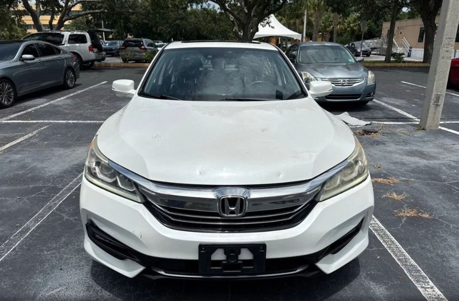 Used 2017 White Orchid Pearl Honda EX-L image 2