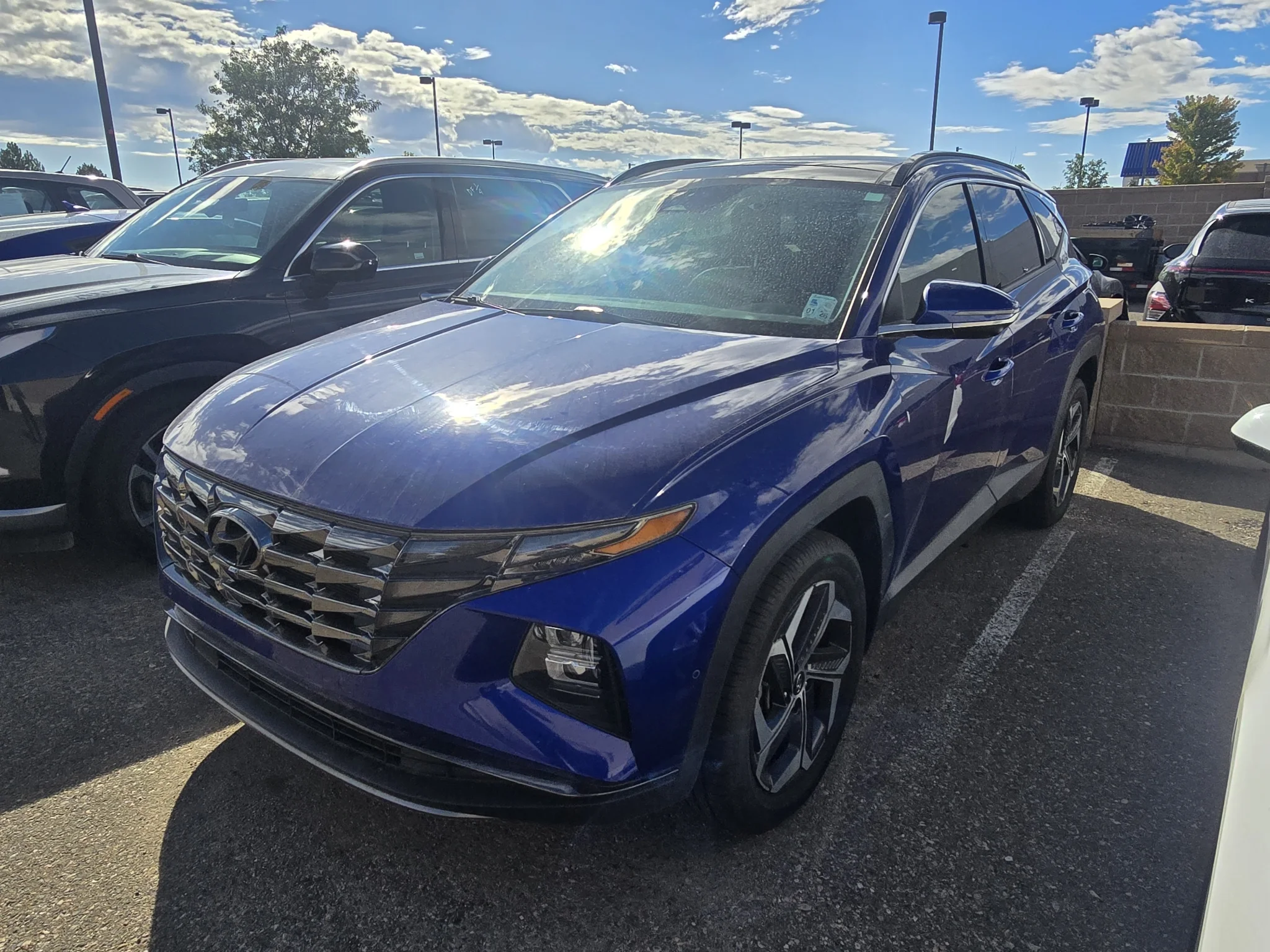 Used 2022 Intense Blue Hyundai Limited image 13
