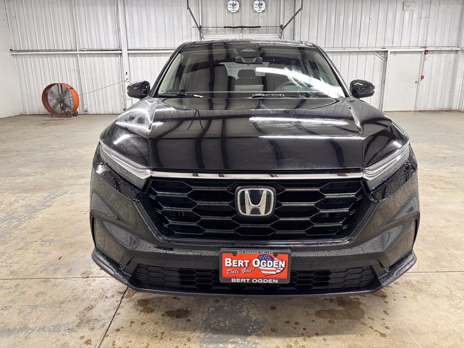 Used 2023  Honda LX image 2