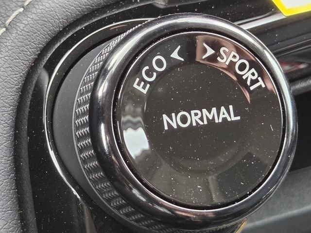 New 2026 Caviar Lexus PREMIUM image 19